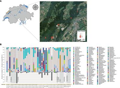 Associated bacterial communities, confrontation studies, and comparative genomics reveal important interactions between Morchella with Pseudomonas spp.